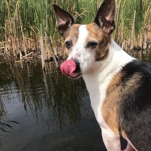 Meet your Posher, Jana